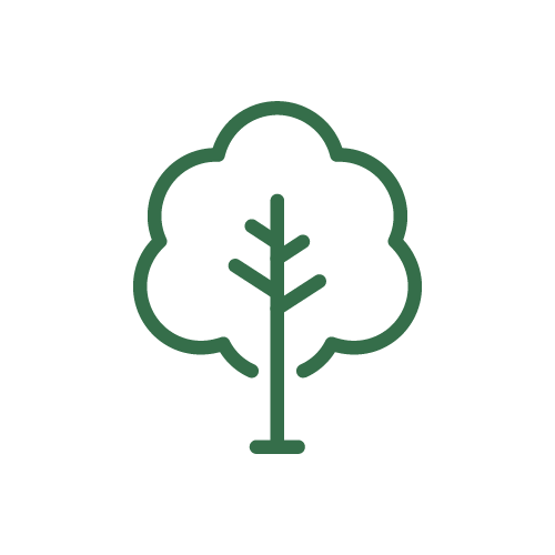 Baum Icon